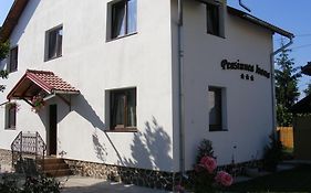 Pensiunea Ioana Guest House 3*